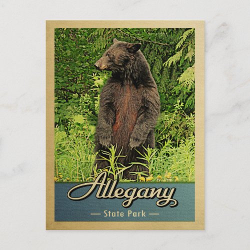 Allegany State Park Vintage Bear Postcard