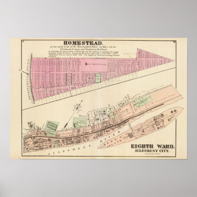 Allegheny ward 8 Homestead Poster (Front)