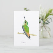 Allen's Hummingbird (Standing Front)