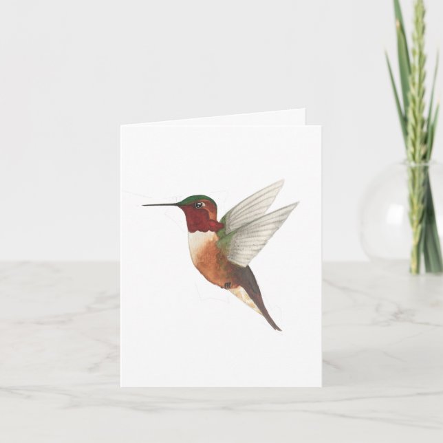 Allen's hummingbird card (Front)