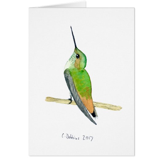 Allen's Hummingbird Cards (Front)