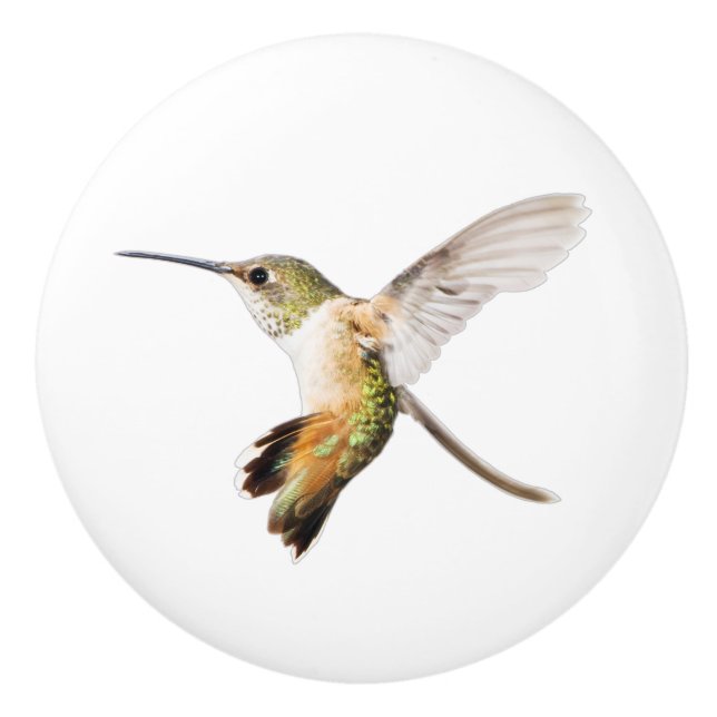 Allen's Hummingbird knob (Front)