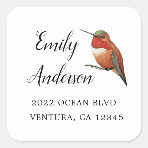 Allens Hummingbird Square Sticker