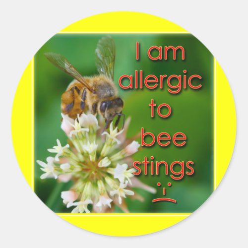 Allergic to bee stings _ great for kids at camp classic round sticker