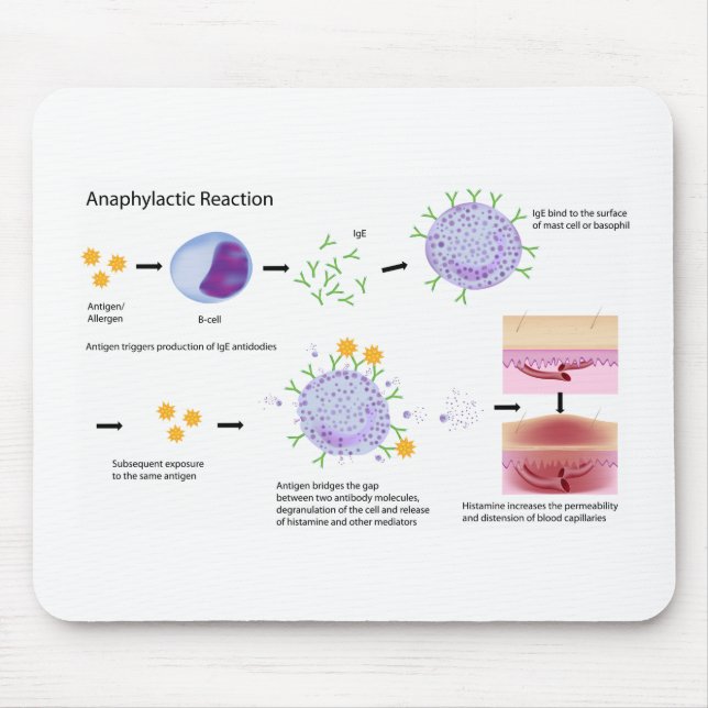 Allergy Mousepad for medical school (Front)