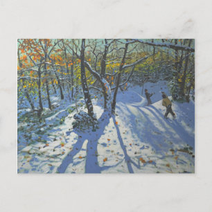 Allestree Park Woods November 2010 Postcard