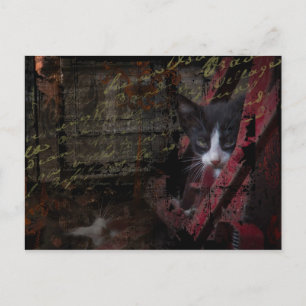alley 007 postcard