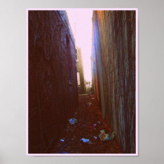 Alley Poster (Front)