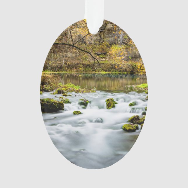 Alley Springs Rapids Ornament (Back)