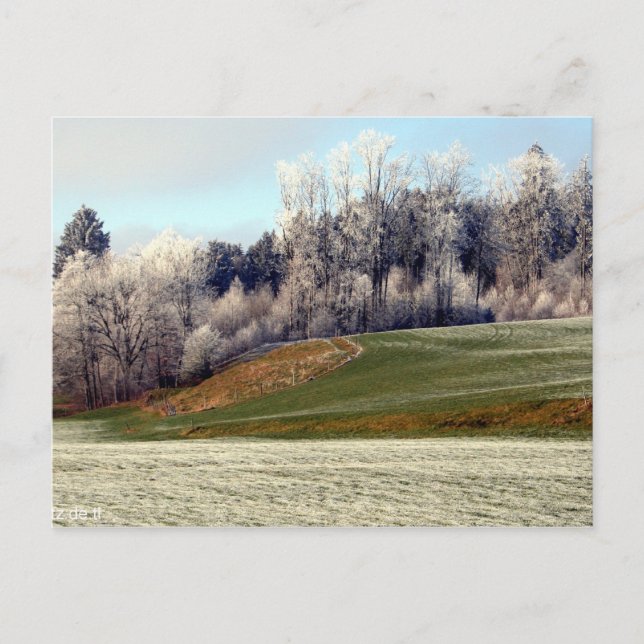 Allgäu Postcard (Front)