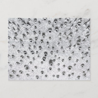 allí, a dryer world postcard