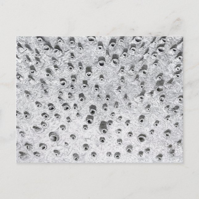 allí, a dryer world postcard (Front)