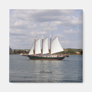 Alliance magnet