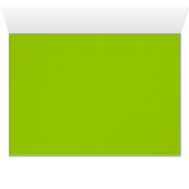 Alligator (Inside Horizontal (Bottom))