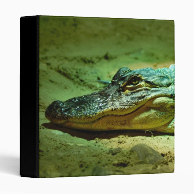 Alligator 3 Ring Binder (Front/Spine)