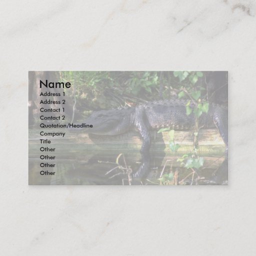 Customizable Alligator afternoon, Everglades, Florida Business Card Template