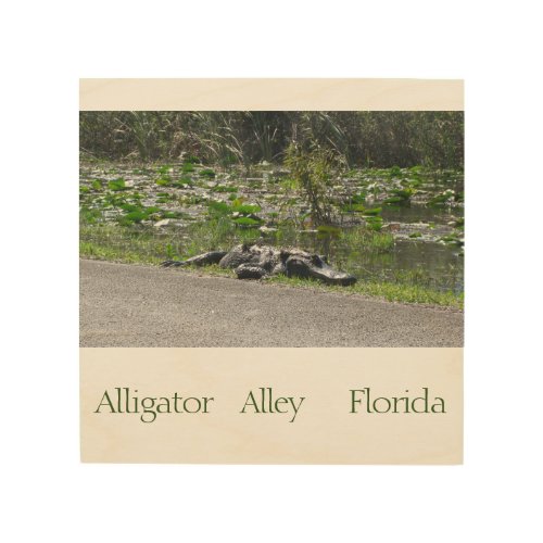 Alligator Alley Florida  Wood Wall Art