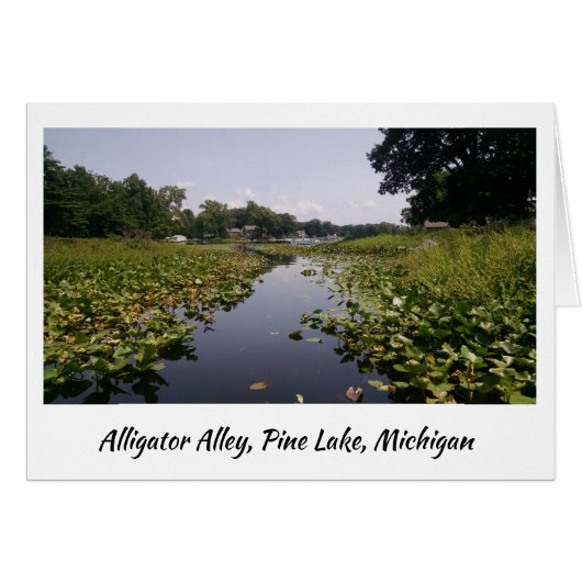 Alligator Alley - Pine Lake Cards (Front Horizontal)