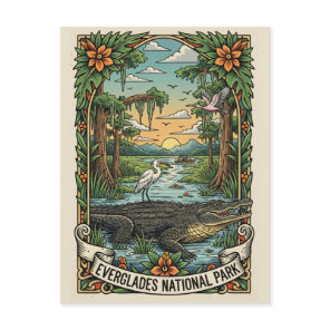 Alligator and Airboat Everglades National Park Postcard