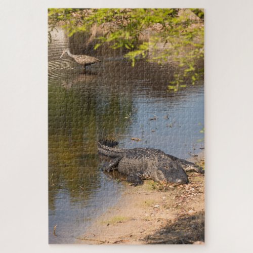Alligator and Carrao bird In Florida wetlands Jigsaw Puzzle