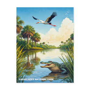 Alligator and Heron Everglades National Park Postcard