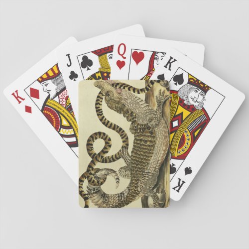 Alligator and Snake 1730 colored engraving Poker Cards