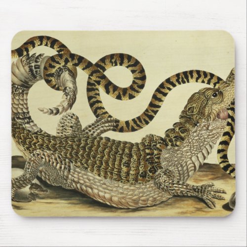 Alligator and Snake 1730 coloured engraving Mouse Pad