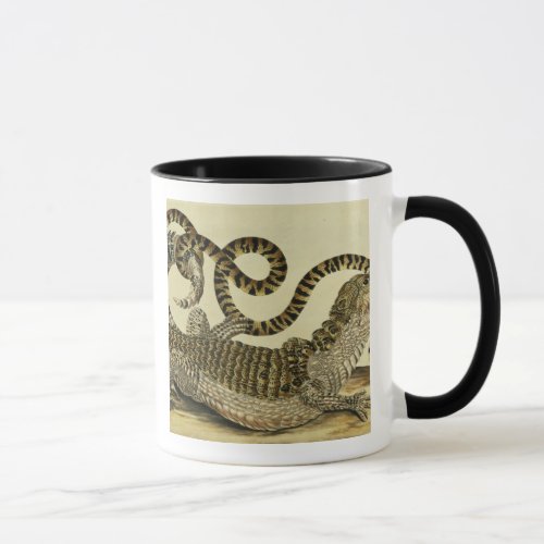 Alligator and Snake 1730 coloured engraving Mug