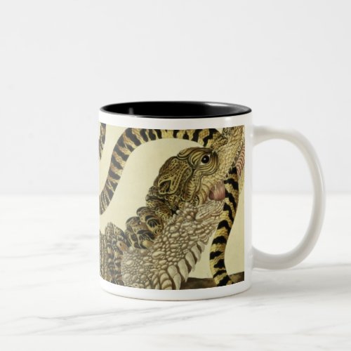 Alligator and Snake 1730 coloured engraving Two_Tone Coffee Mug