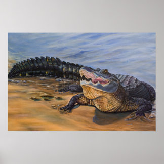 Alligator art. Face to Face Poster