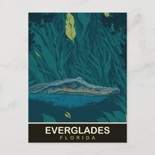 Alligator at Everglades Florida Travel Postcard