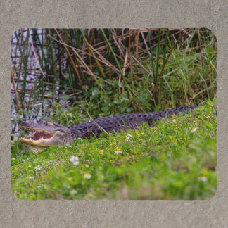 Alligator at Florida Wetlands Photograph Mouse Pad