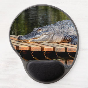 Alligator at Homosassa Springs Wildlife State Park Gel Mouse Pad