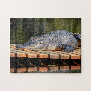 Alligator at Homosassa Springs Wildlife State Park Jigsaw Puzzle