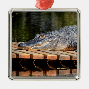 Alligator at Homosassa Springs Wildlife State Park Metal Ornament