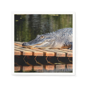 Alligator at Homosassa Springs Wildlife State Park Paper Napkins