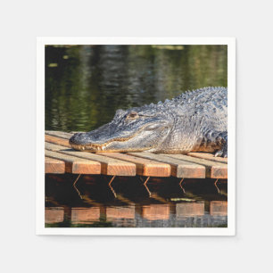 Alligator at Homosassa Springs Wildlife State Park Paper Napkins