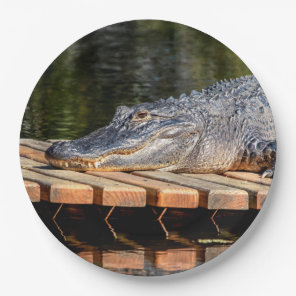 Alligator at Homosassa Springs Wildlife State Park Paper Plates
