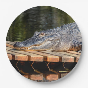 Alligator at Homosassa Springs Wildlife State Park Paper Plates