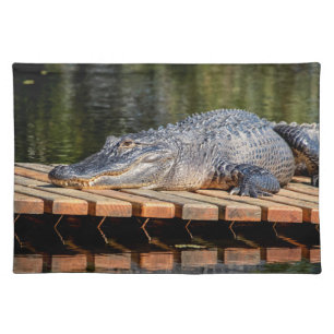 Alligator at Homosassa Springs Wildlife State Park Placemat