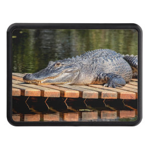 Alligator at Homosassa Springs Wildlife State Park Tow Hitch Cover