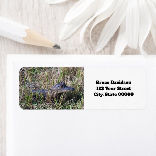 Alligator Baby Cute Personalize Return Address  Label