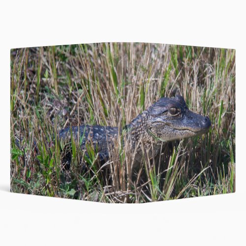 Alligator Baby Cute Swamp Florida 3 Ring Binder