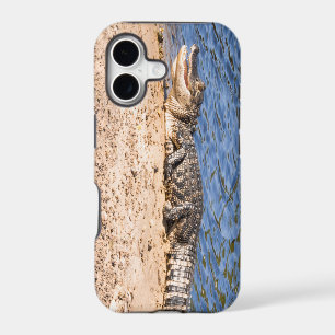 Alligator baby sunning iPhone 17 case