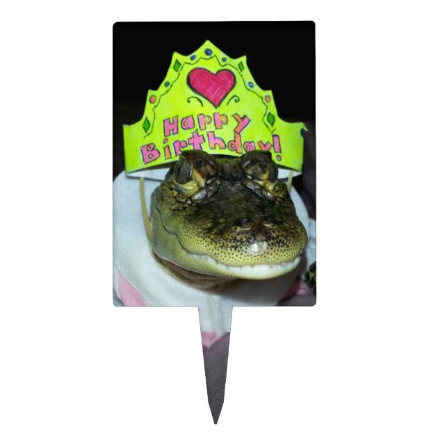 Alligator With Name Birthday Cake Topper – OwlTopThat