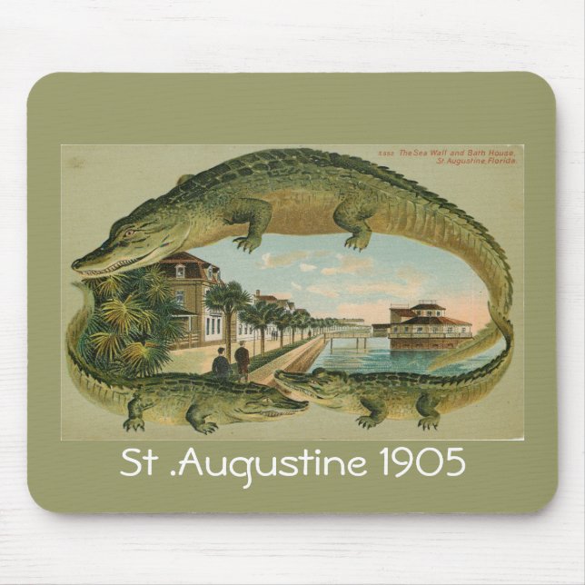 Alligator Border St Augustine Florida 1905, St ... Mouse Pad (Front)