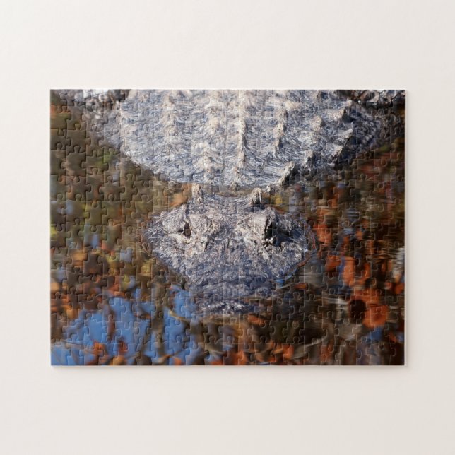 Alligator - Careful! Jigsaw Puzzle (Horizontal)