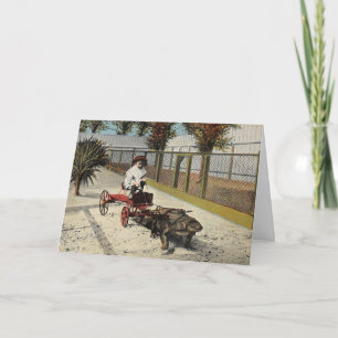 Alligator Cart Card