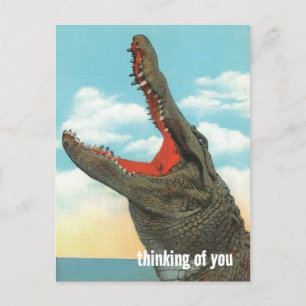Alligator Chomp Postcard