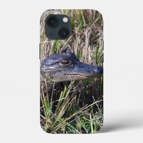 Alligator Cute Baby Swamp Florida iPhone 13 Mini Case